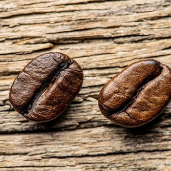 تفاوت قهوه عربیکا و روبوستا